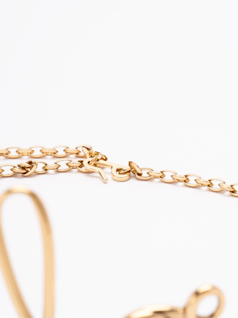 Chloe Women `The Chloé Iconic` Small Belt