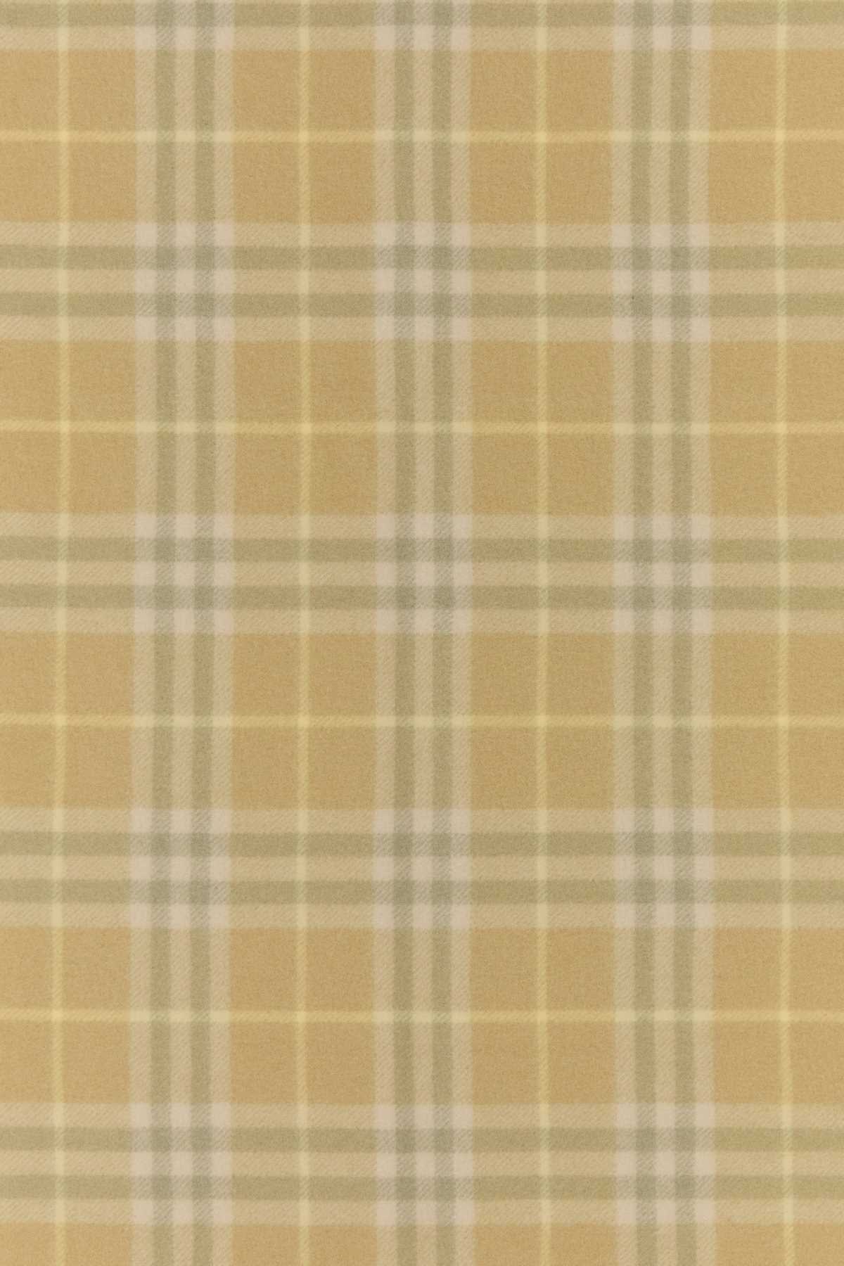 Burberry Unisex Embroidered Cashmere Scarf