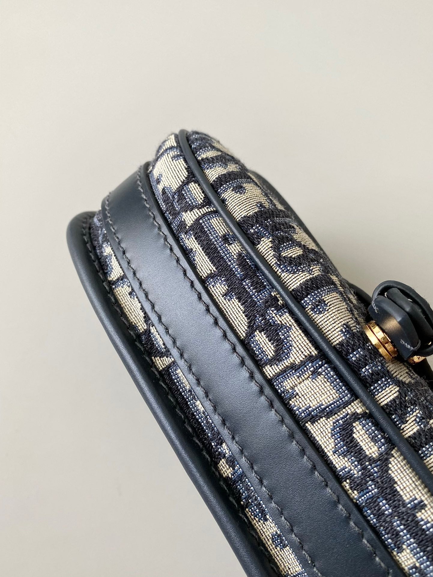 DIOR medium east west bobby 22cm blue oblique canvas
