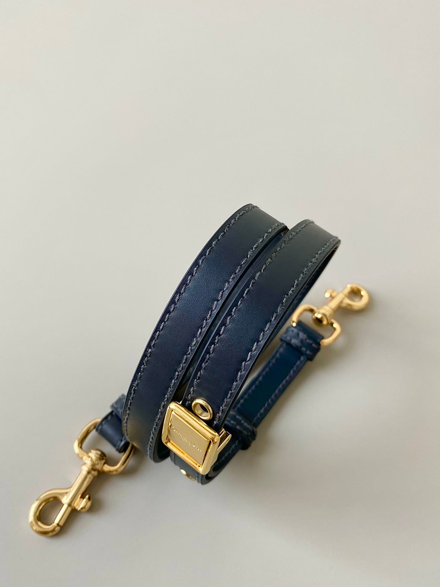 DIOR medium east west bobby 22cm blue oblique canvas