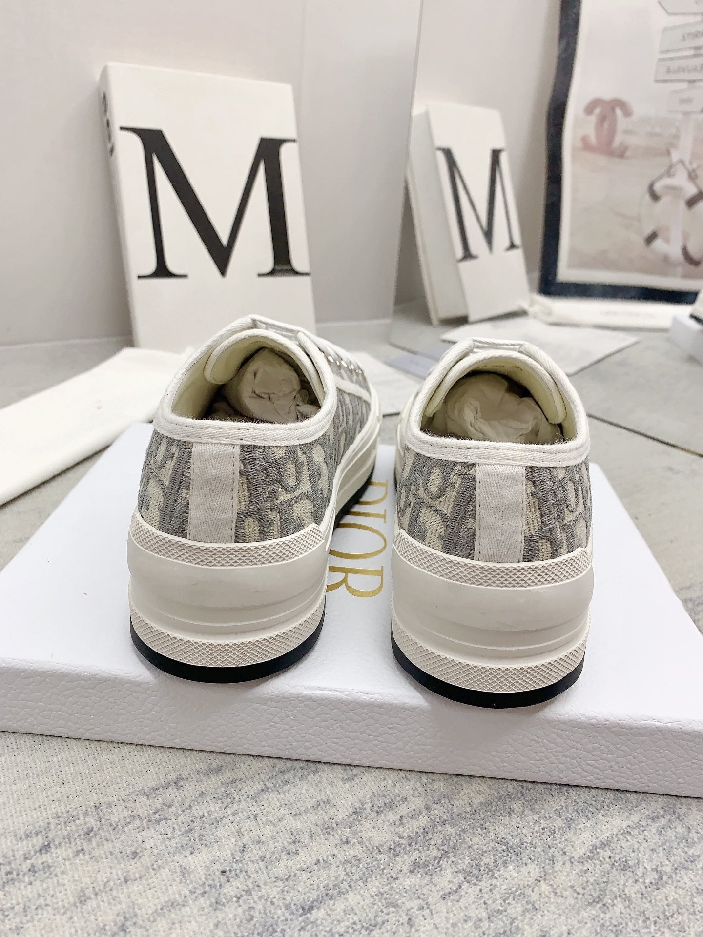 DIOR walkn 45 grey white oblique embroidery canvas