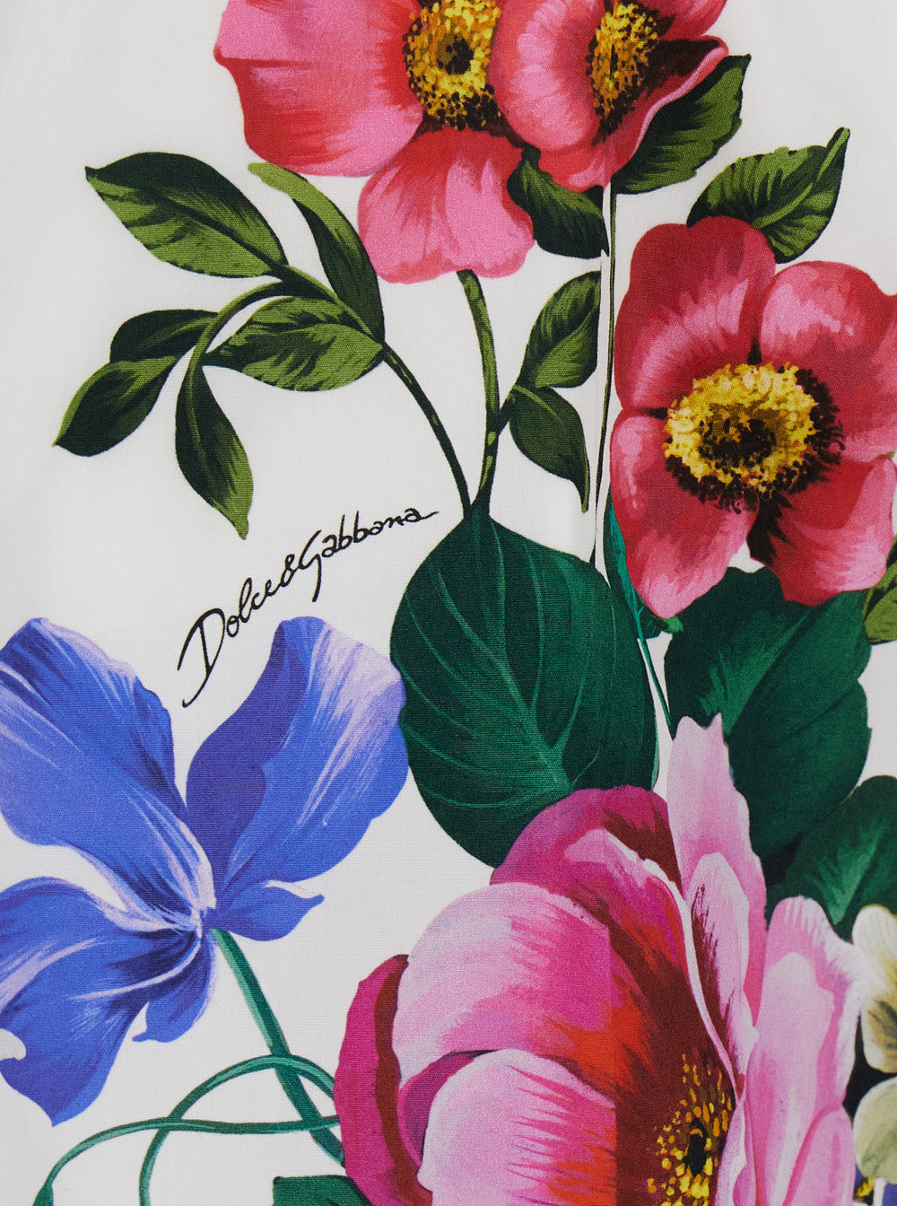 Dolce & Gabbana Women Multicolor Bermuda Shorts With All-Over Floral Pattern Print In Cotton Woman