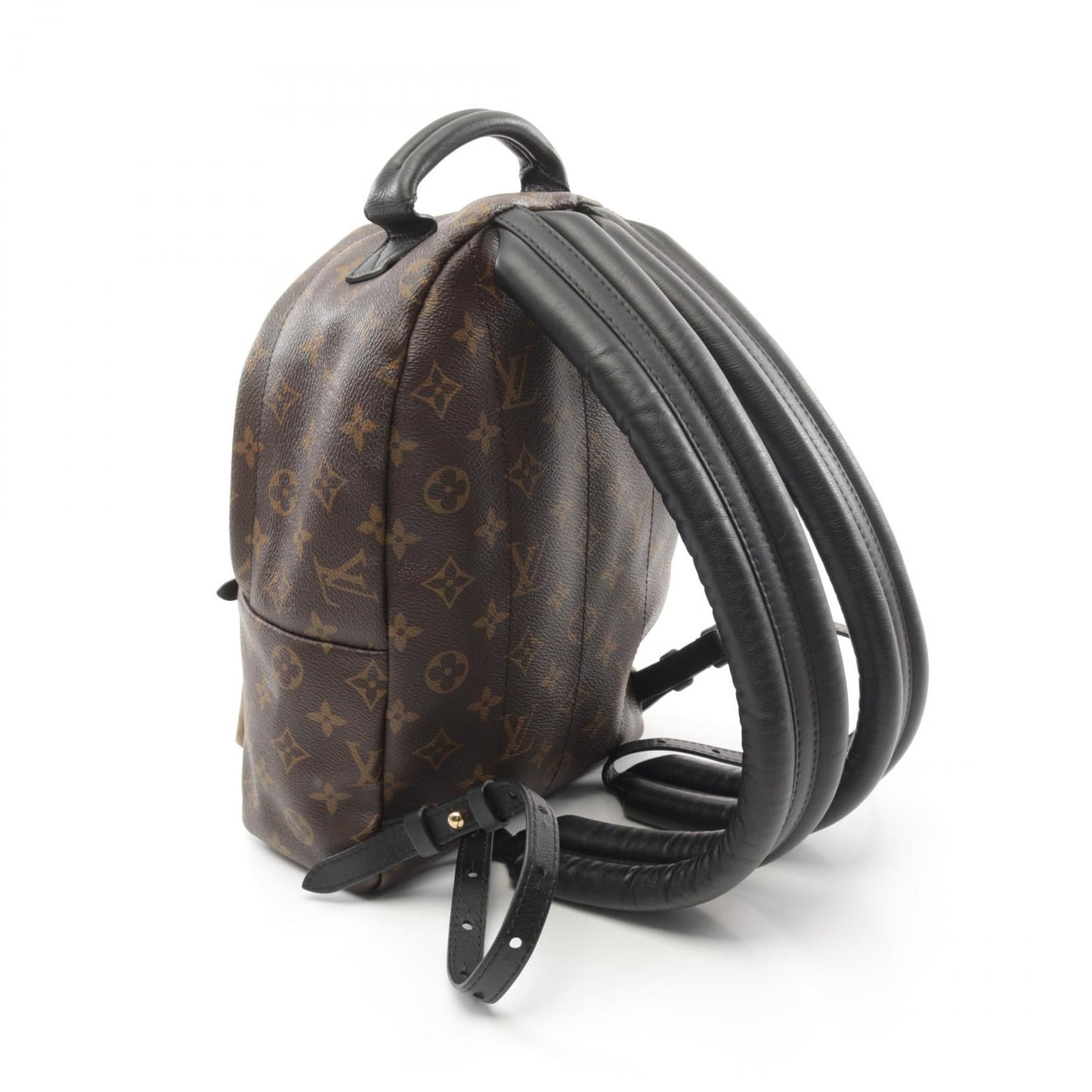 Louis Vuitton Palm Springs Monogram Backpack