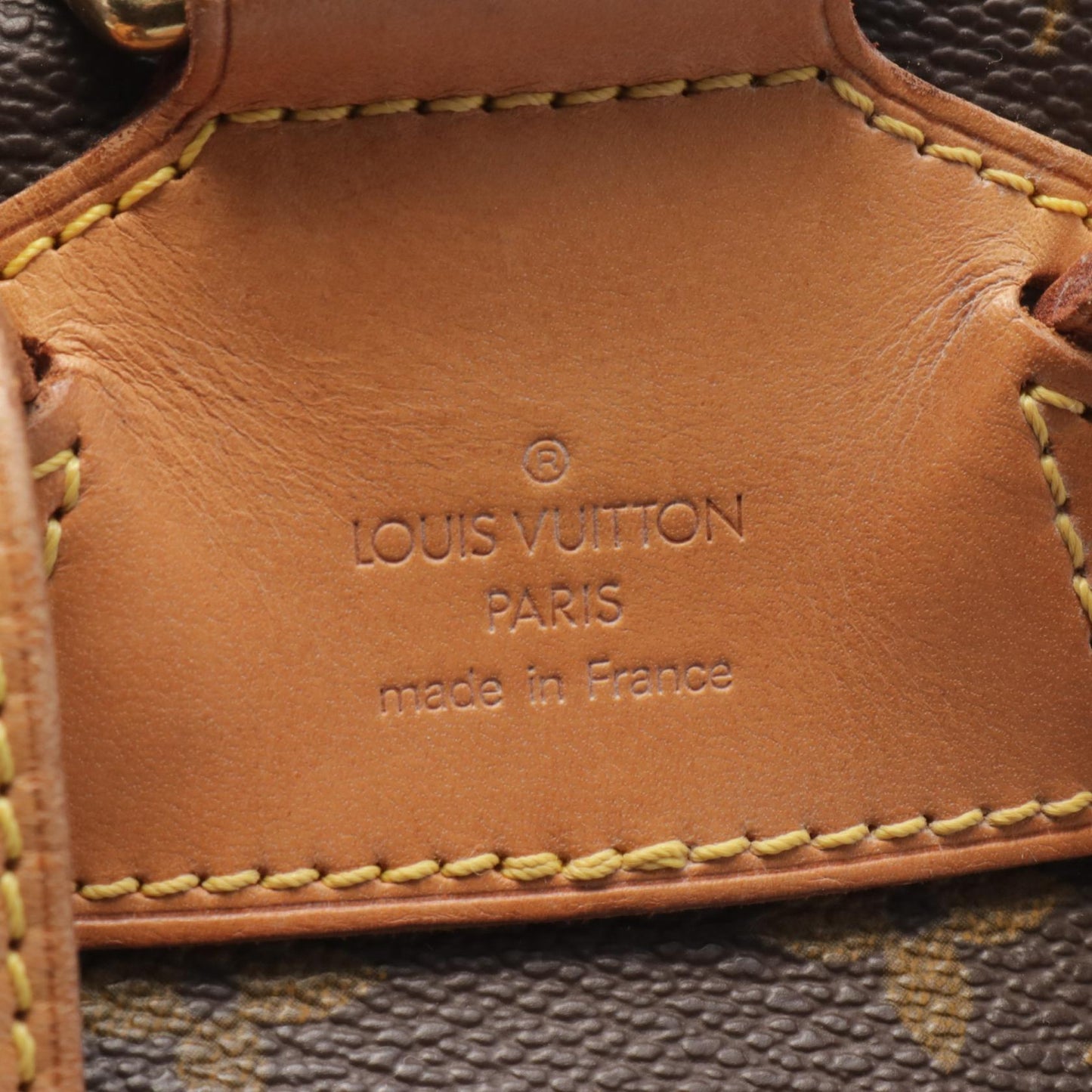 Louis Vuitton Monogram Coated Canvas Backpack
