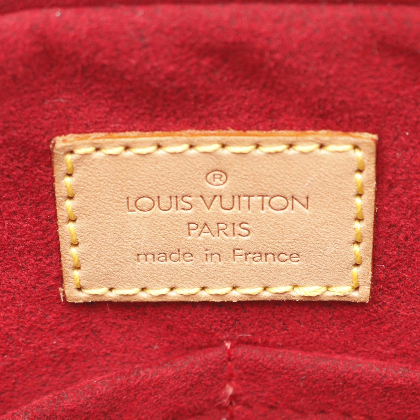 Louis Vuitton Multiplicite Monogram Handbag