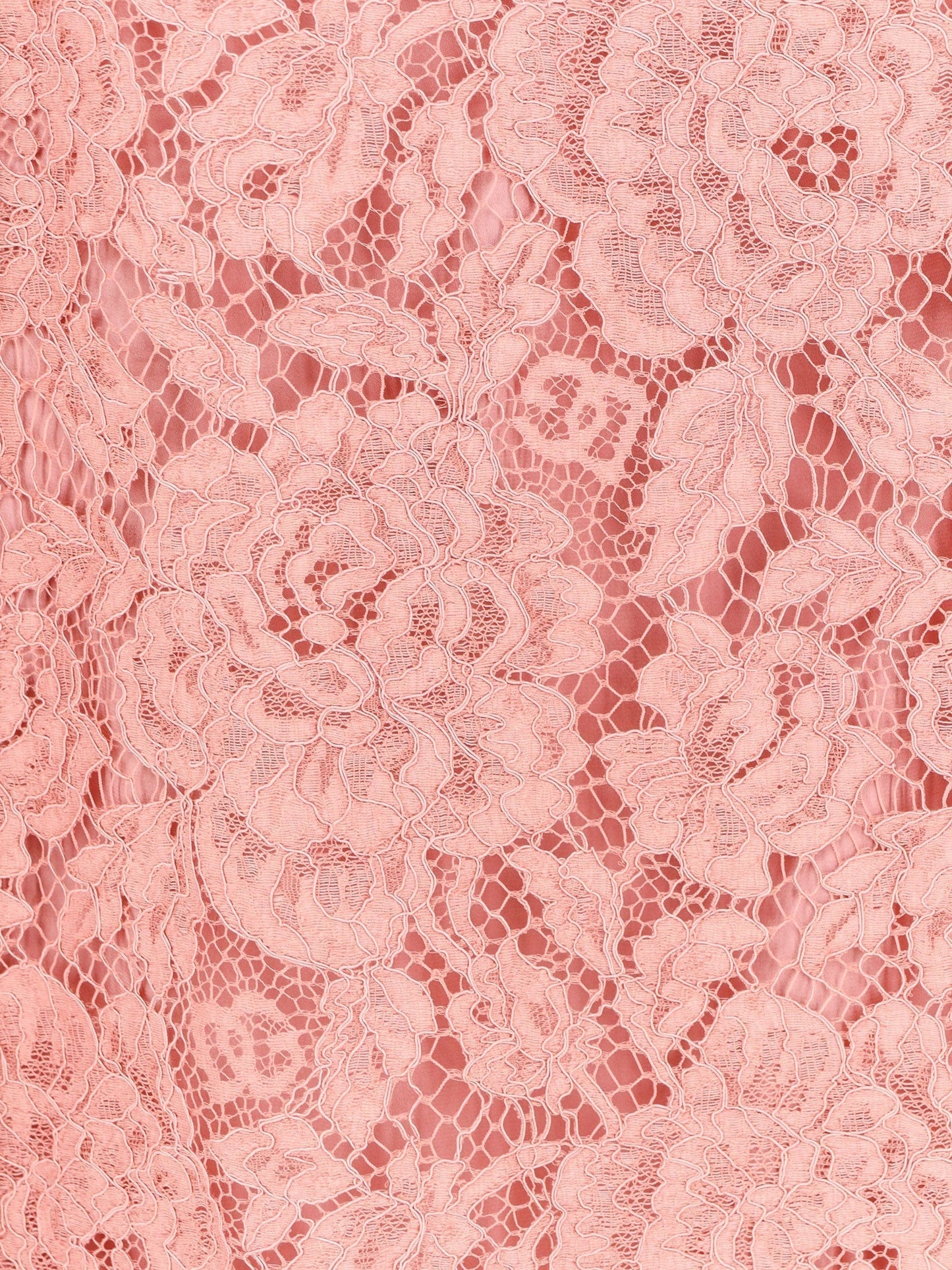 Dolce & Gabbana Women A Line Dg Floral Lace Dress