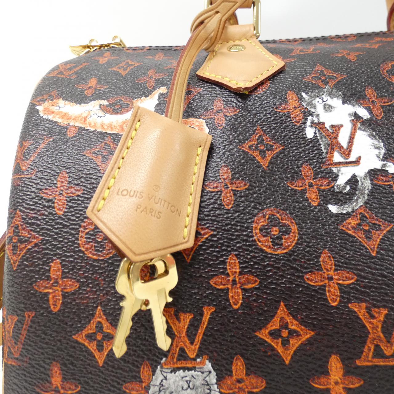 Louis Vuitton Catogram Coated Canvas Boston Bag