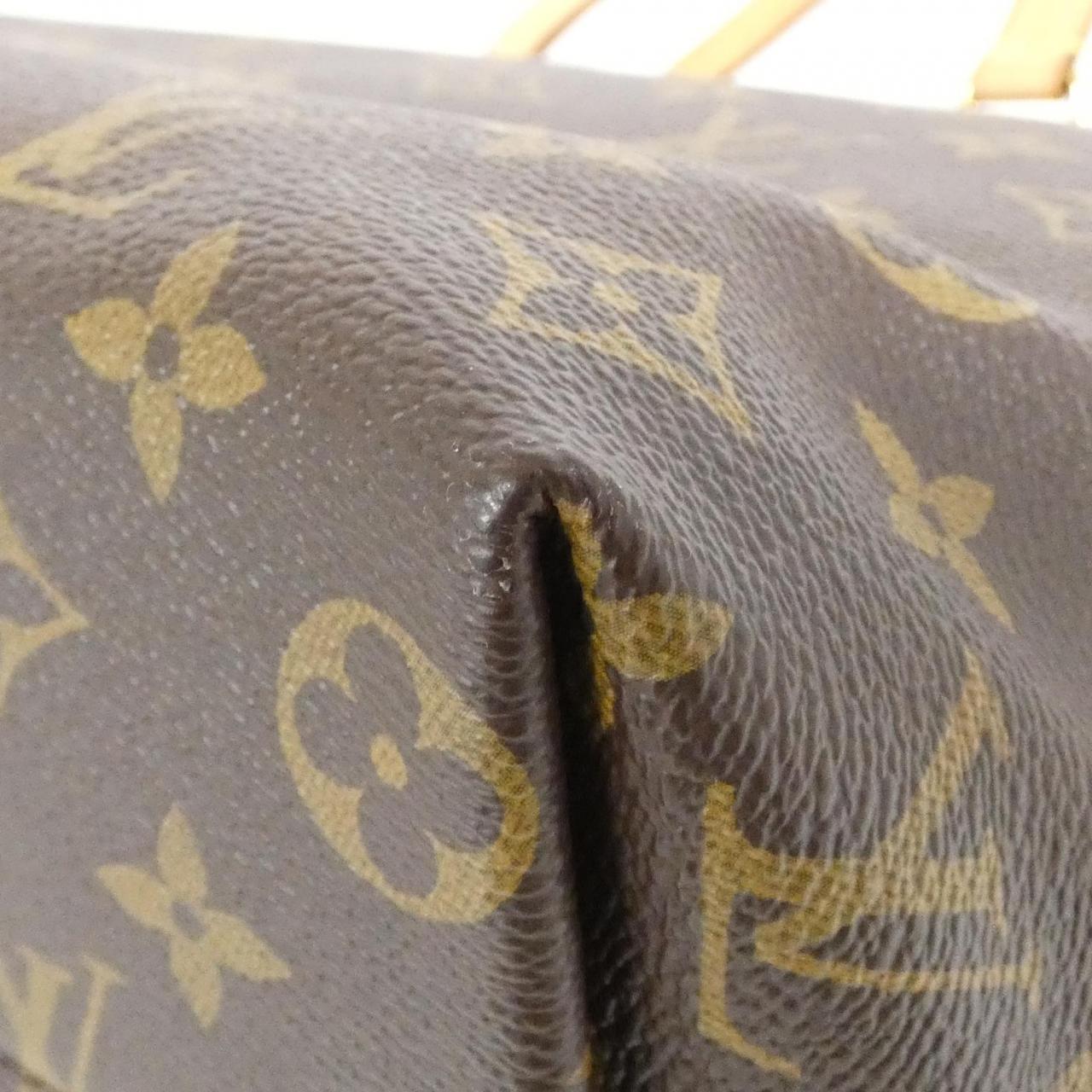 Louis Vuitton Monogram Bag