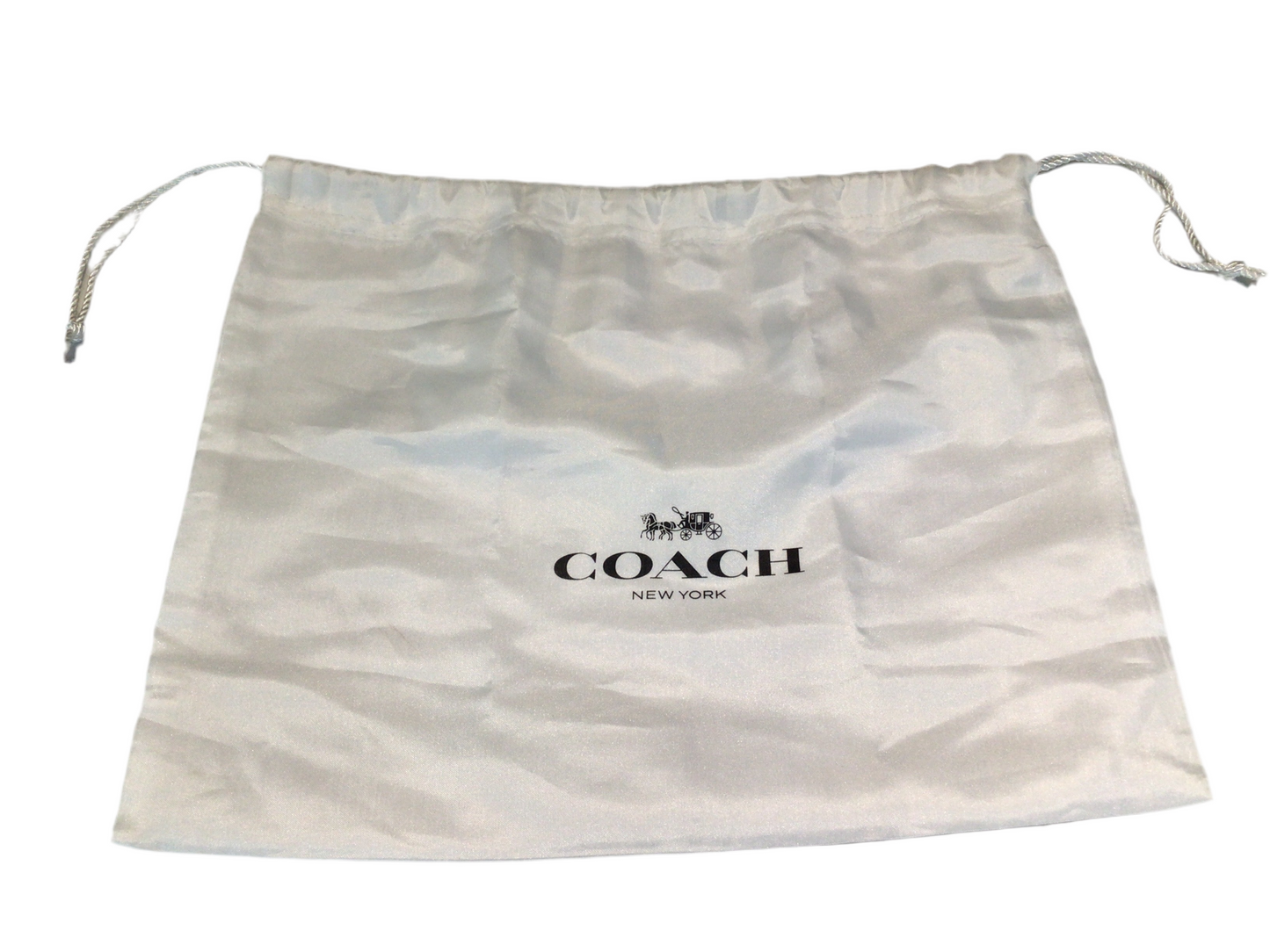 Coach Terracotta Swing Bag