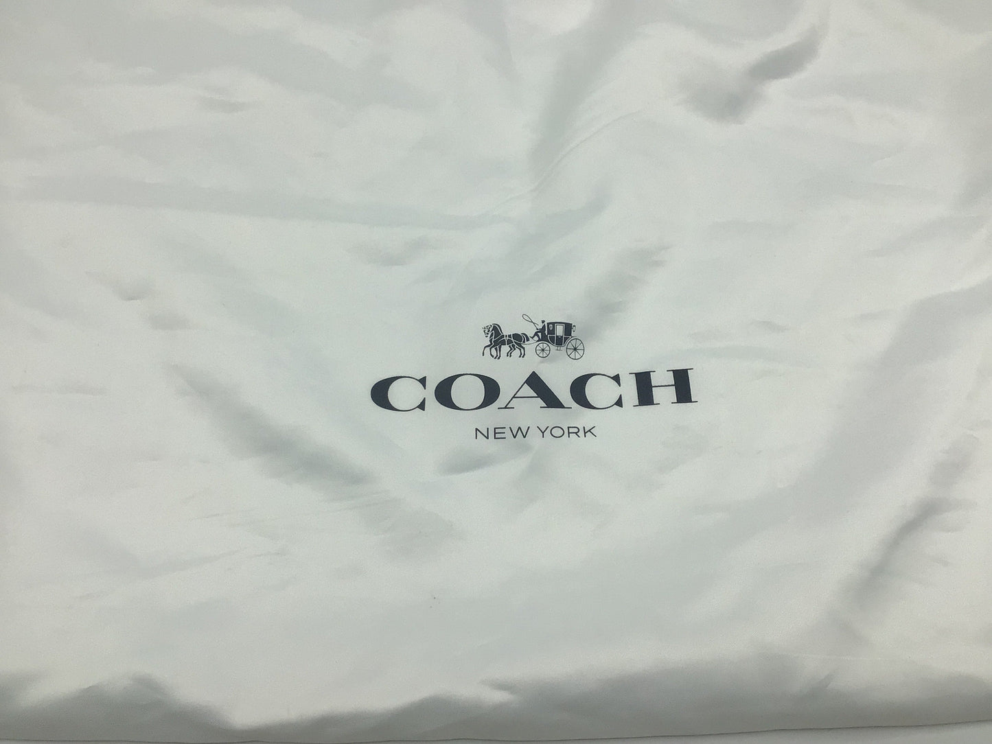 Cross Body Coach Bag, Green