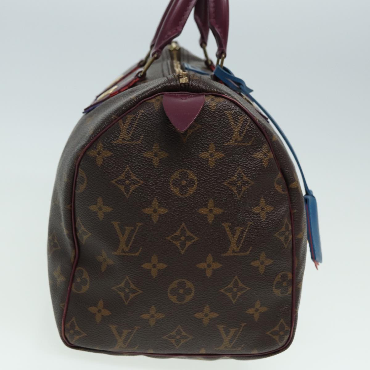 LOUIS VUITTON Monogram Totem Speedy 30 Hand Bag M41666 LV 83082