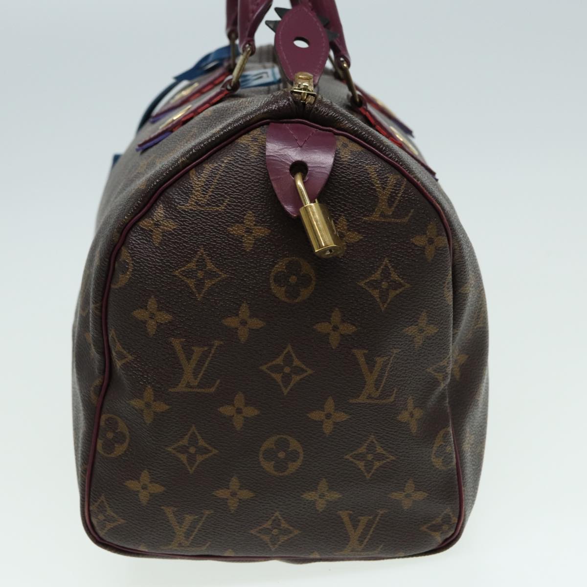 LOUIS VUITTON Monogram Totem Speedy 30 Hand Bag M41666 LV 83082