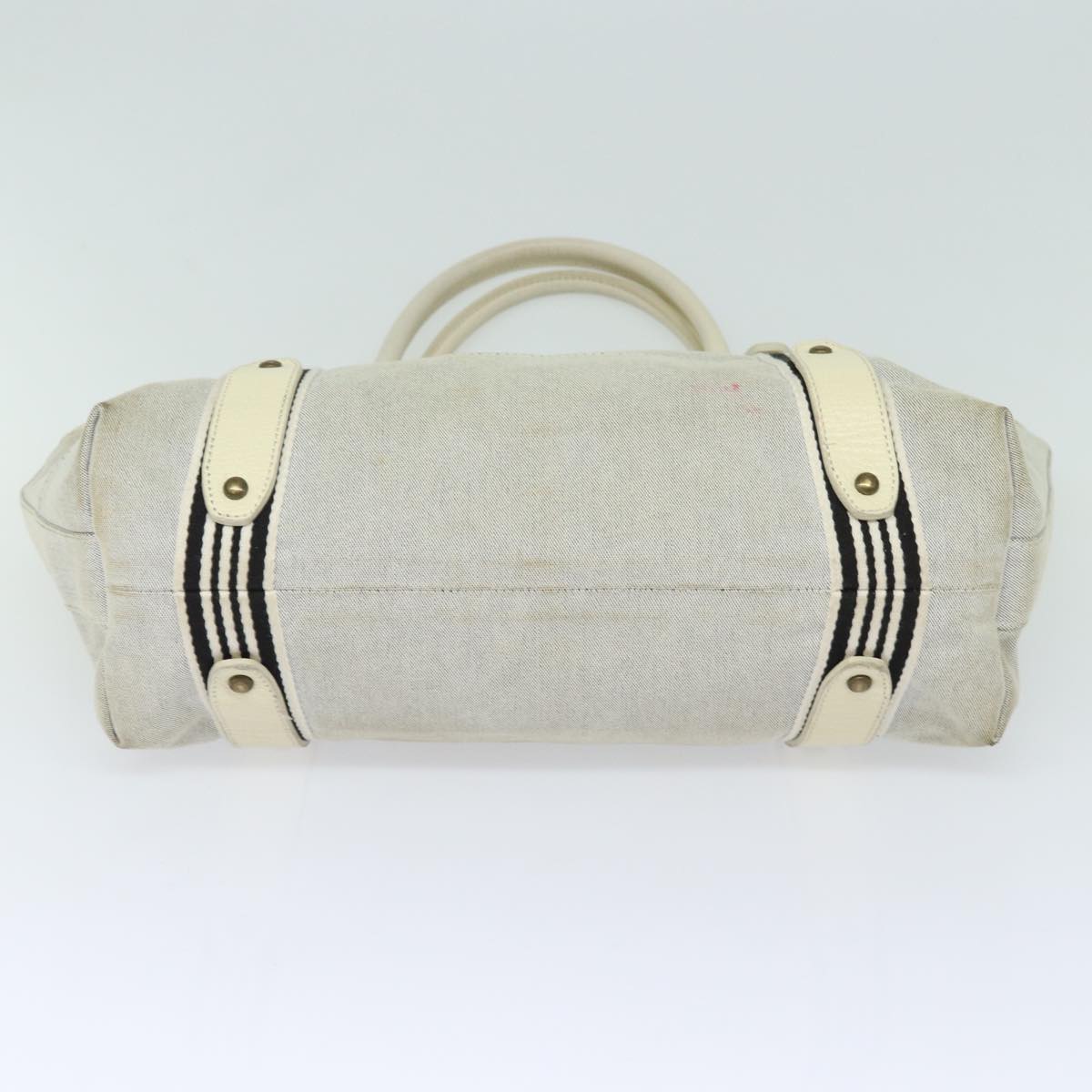 Burberry blue Label Canvas Tote Bag ()
