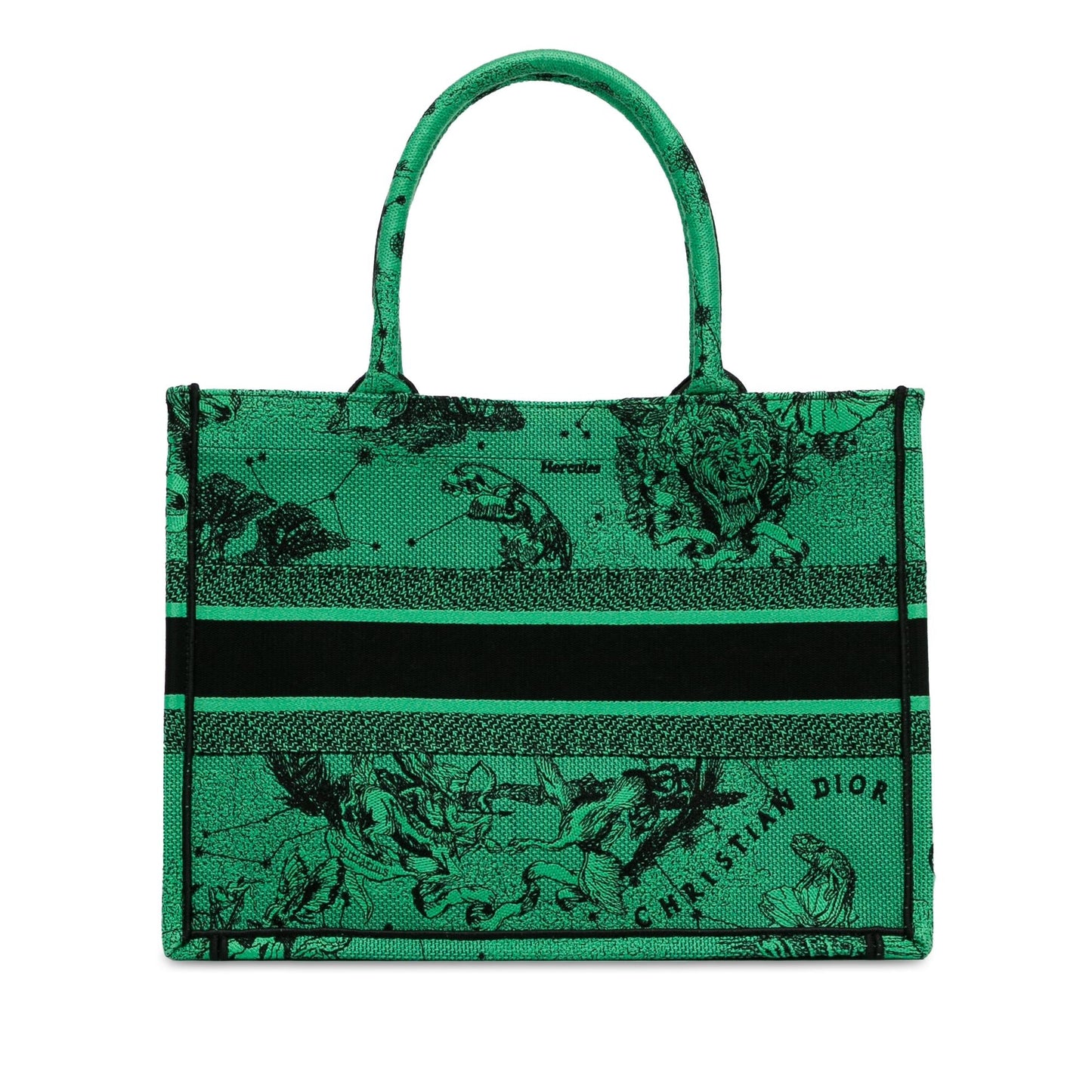 Dior Medium Embroidered Canvas Book Tote (SHG-4wzOJQ)