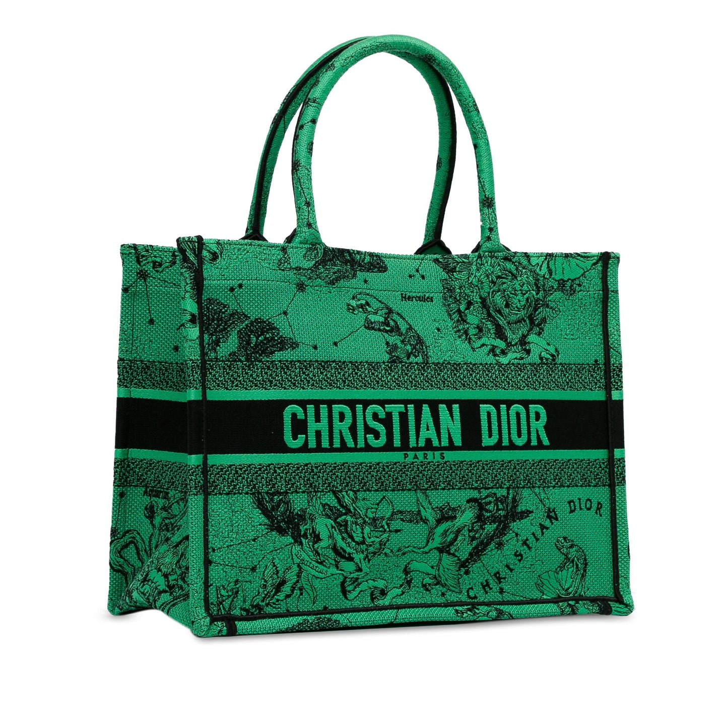 Dior Medium Embroidered Canvas Book Tote (SHG-4wzOJQ)