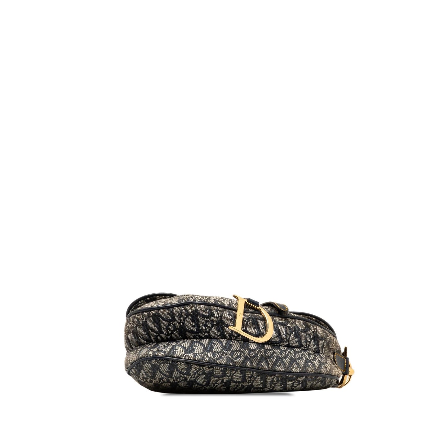Dior Oblique Canvas Saddle (SHG-4xs9xj)