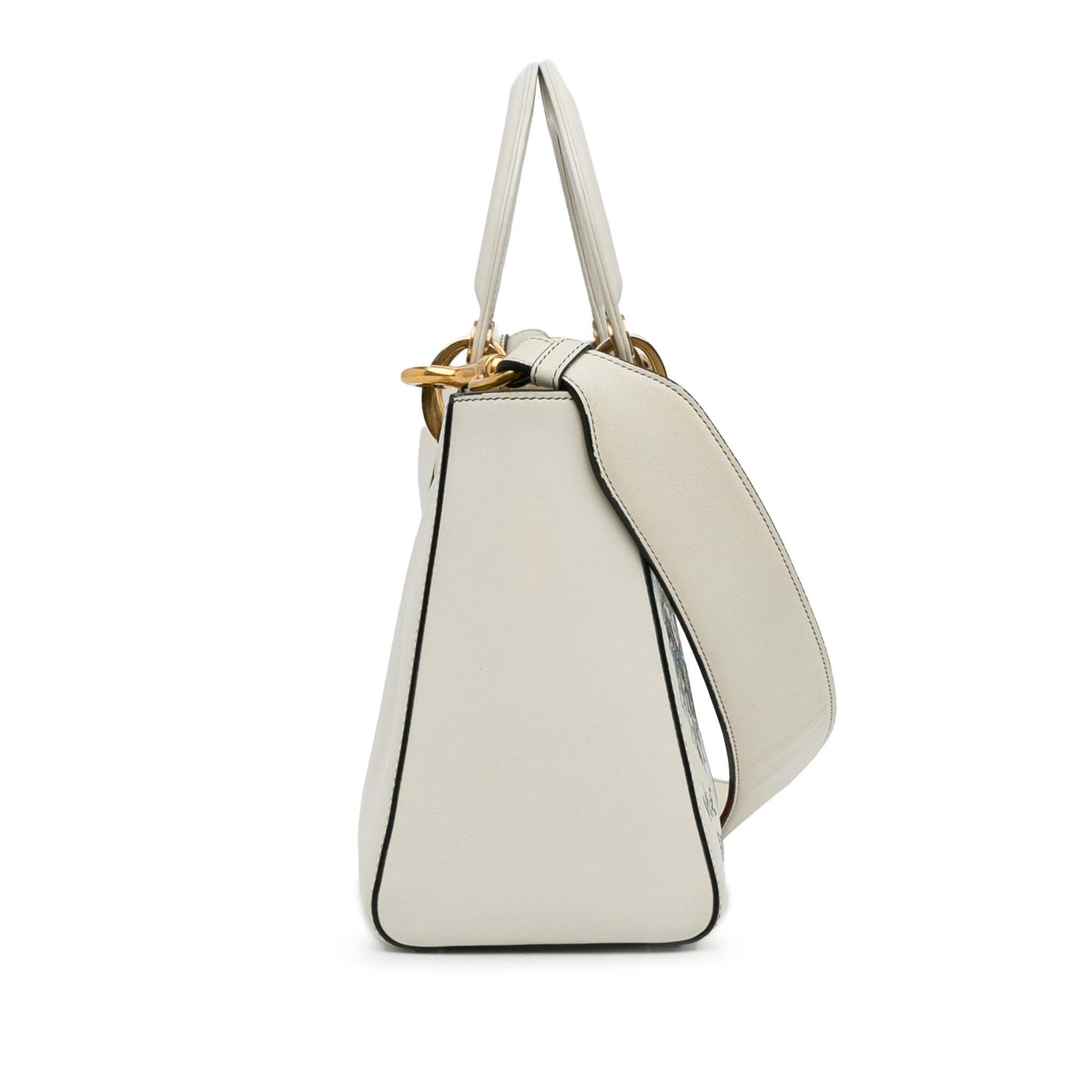 Dior x Niki de Saint Phalle Medium Lady Dior (SHG-7nYCtH)