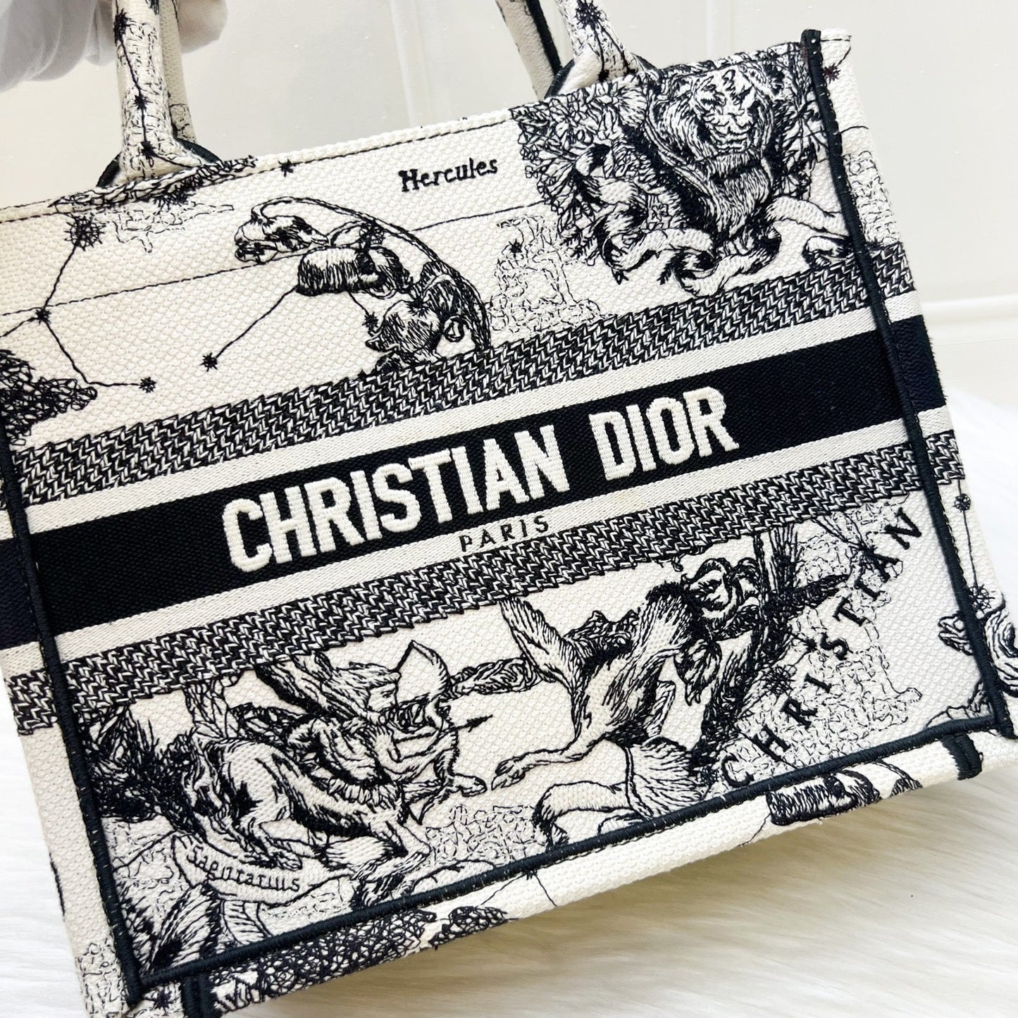 Dior Small Book Tote in Latte and Black Toile de Jouy Zodiac Embroidery