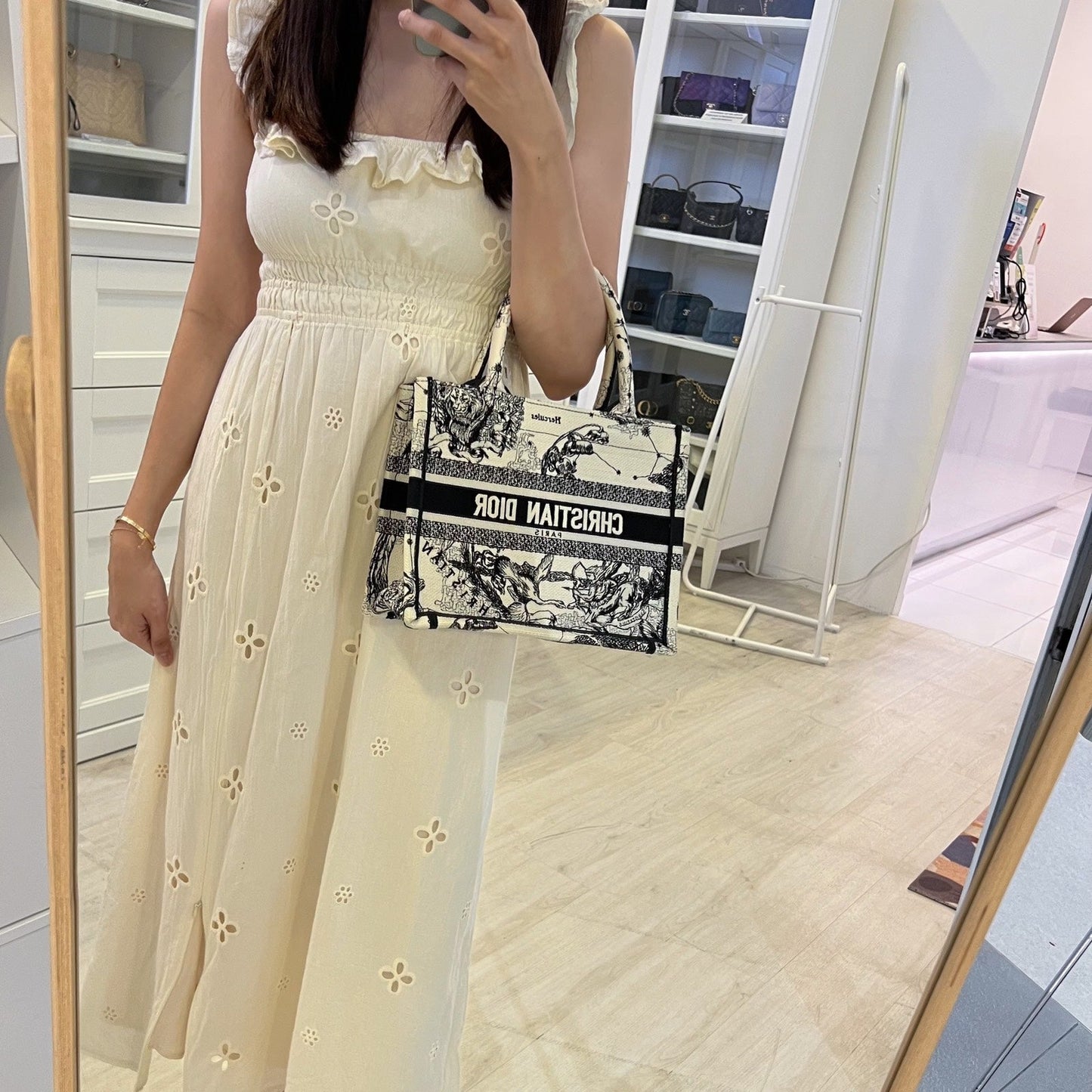 Dior Small Book Tote in Latte and Black Toile de Jouy Zodiac Embroidery