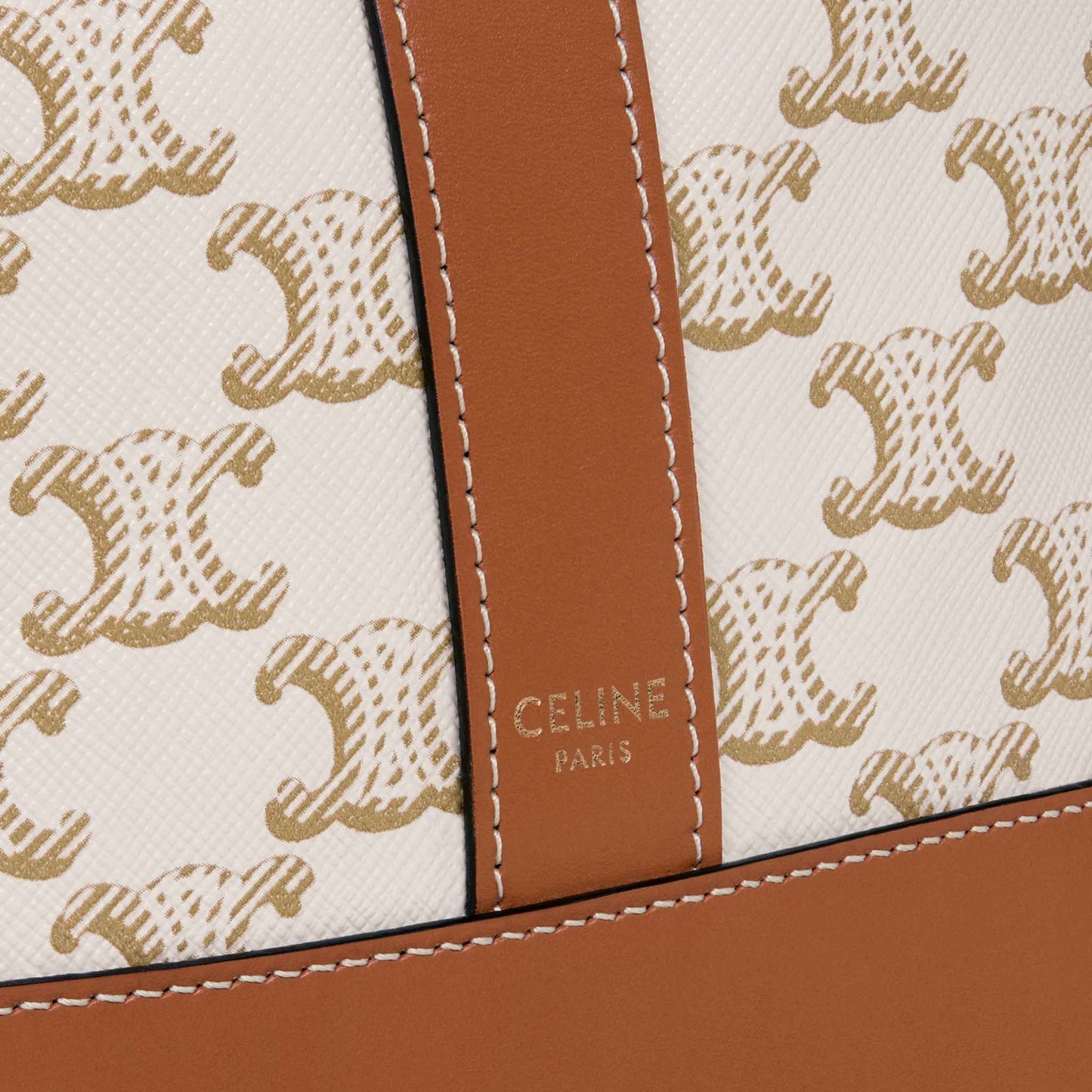 Small Bucket In Triomphe Canvas And Calfskin Handbag