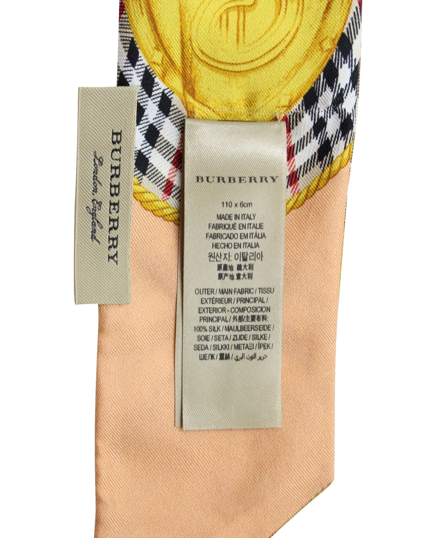Burberry Check Print Skinny Scarf in Multicolor Silk