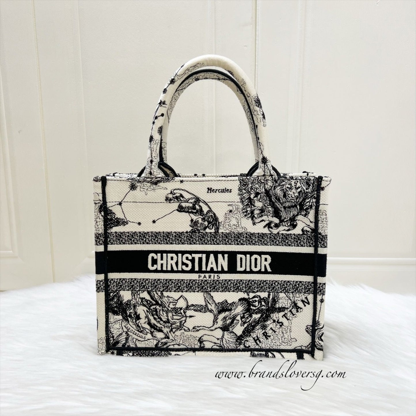 Dior Small Book Tote in Latte and Black Toile de Jouy Zodiac Embroidery