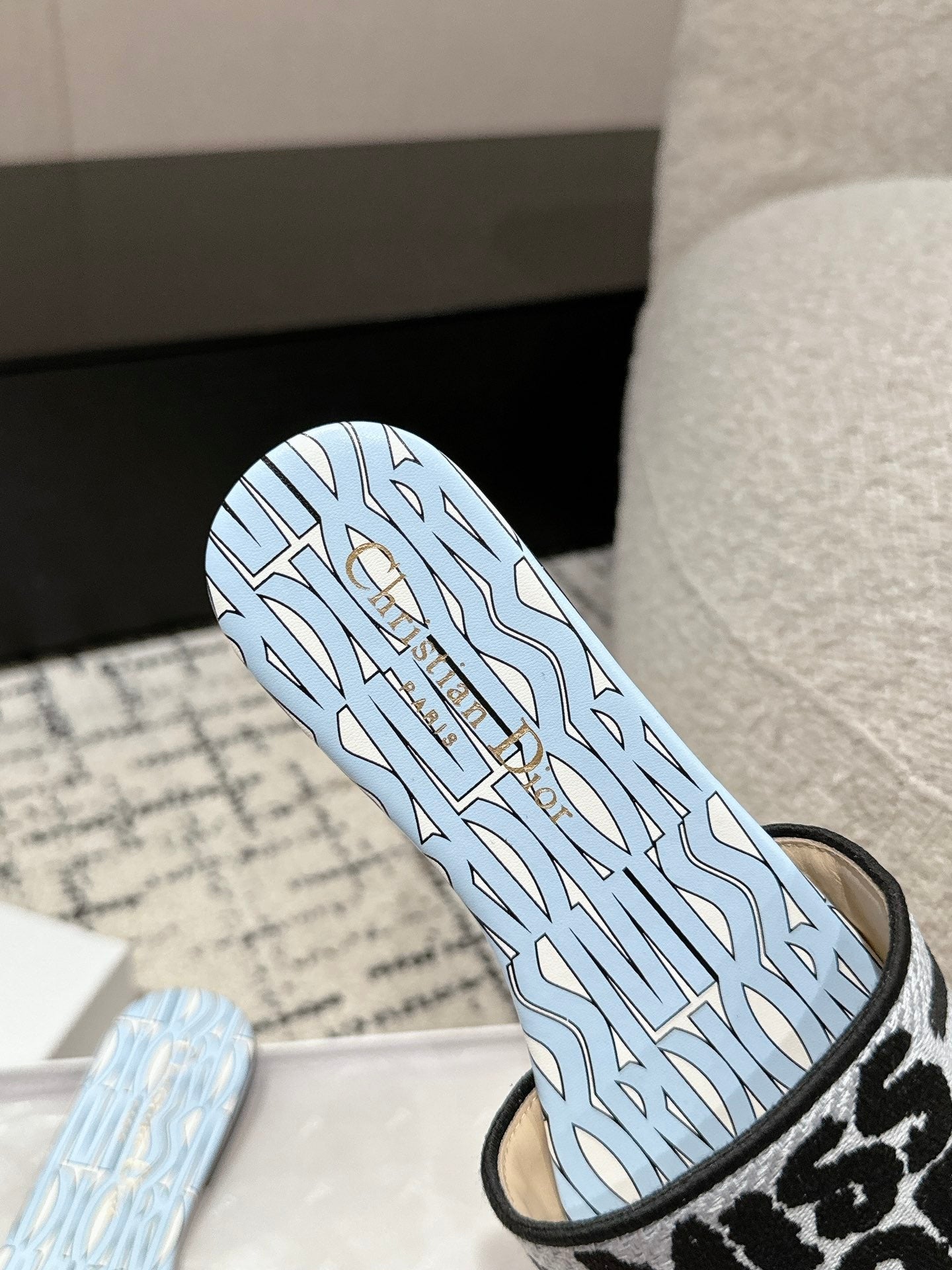 DIOR Dway Slide Blue Black Embroidered Cotton