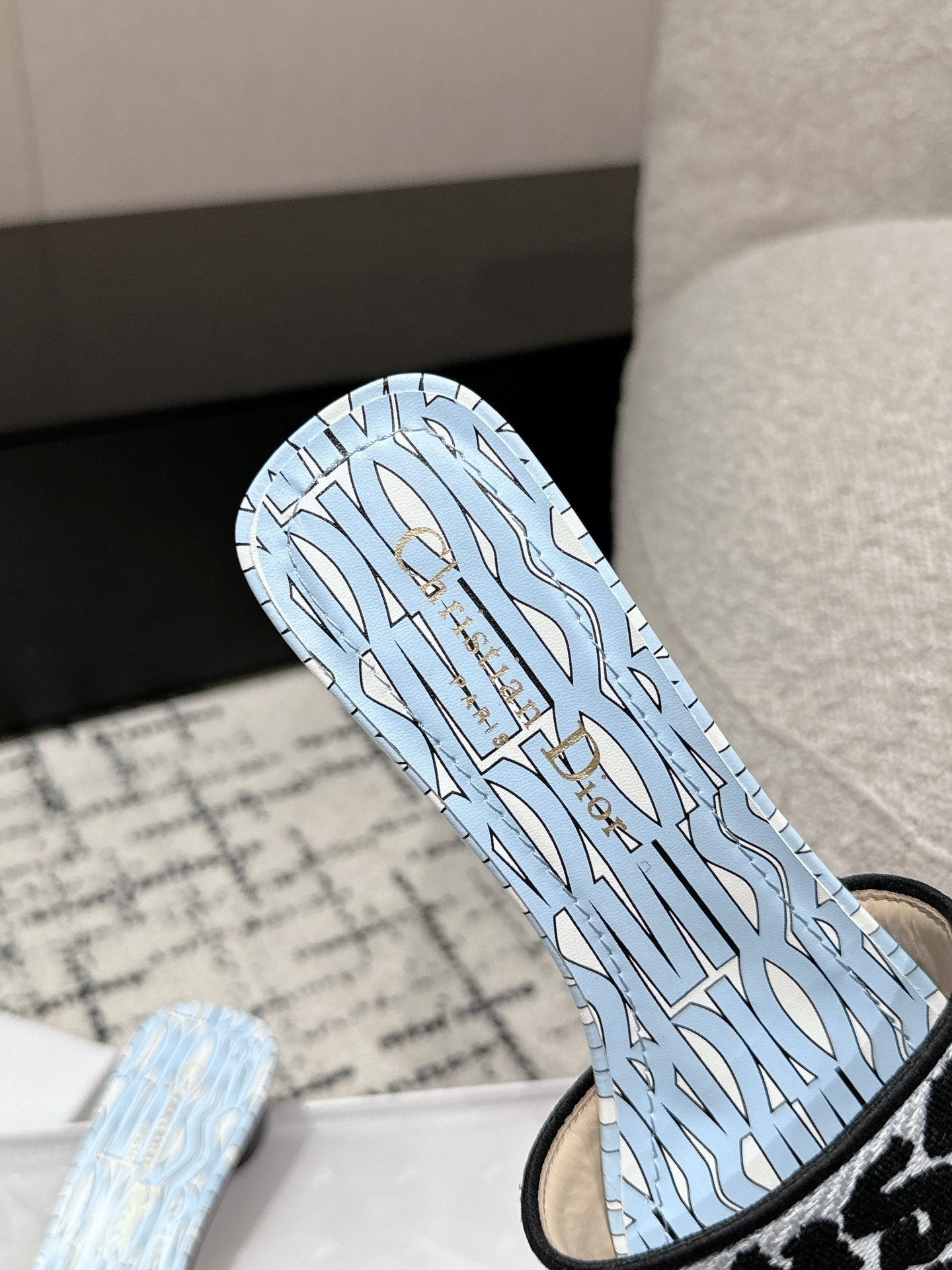 DIOR Dway Heeled Slide Blue Black Embroidered Cotton