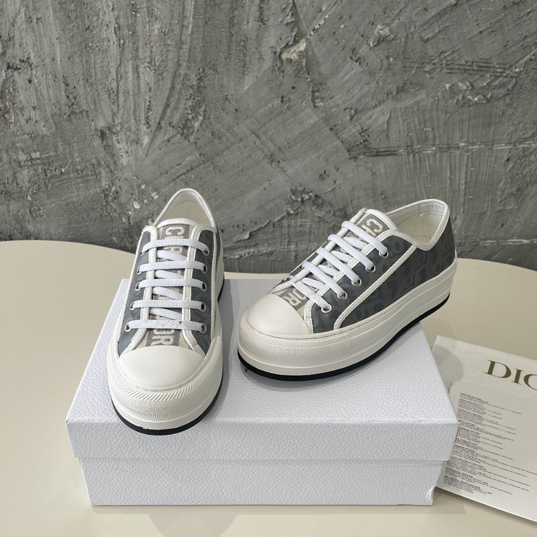 DIOR walkn grey oblique printed canvas