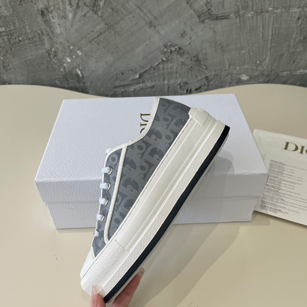DIOR walkn grey oblique printed canvas
