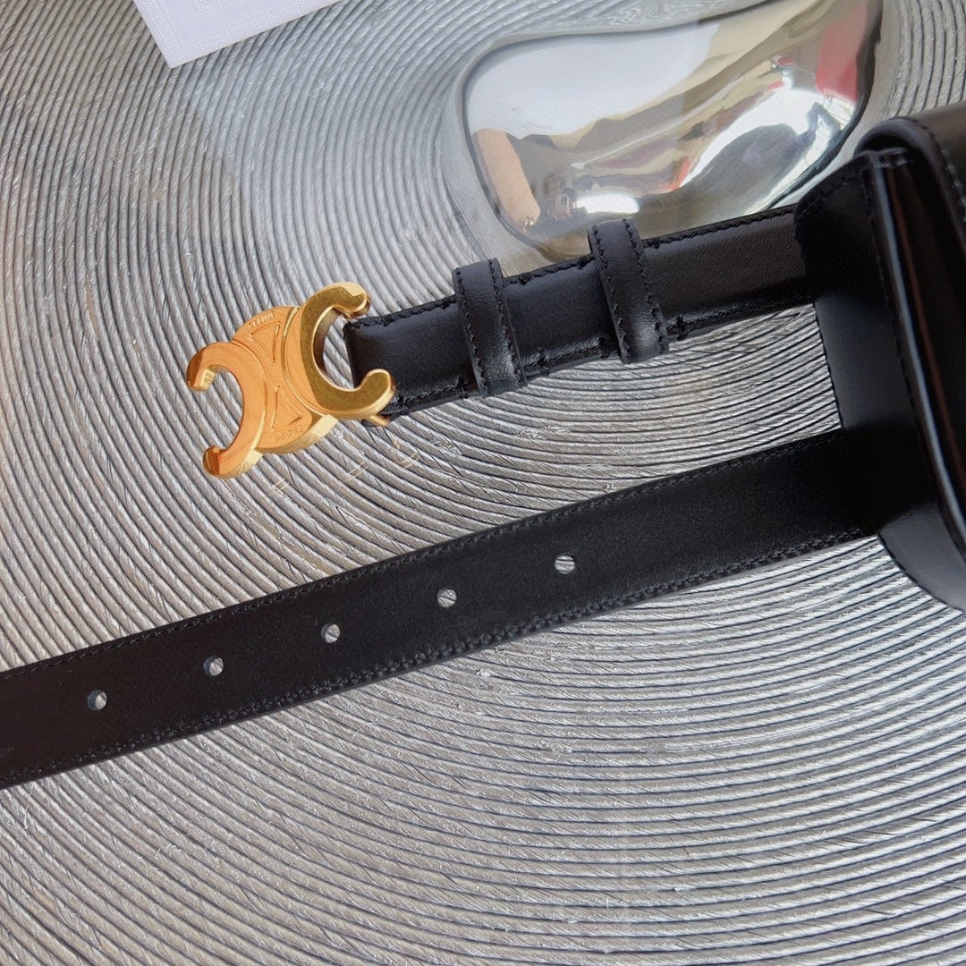 Celine celin black calfskin belt bag triomphe gold buckle
