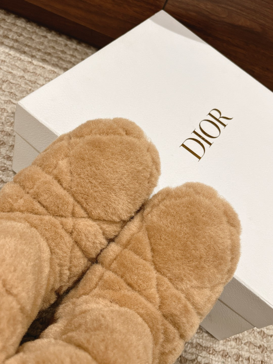 DIOR Ankle Boots Beige Fleece And Windbreaker Fabric