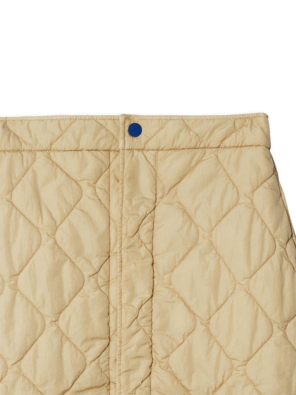 Burberry Women Nylon Skirt