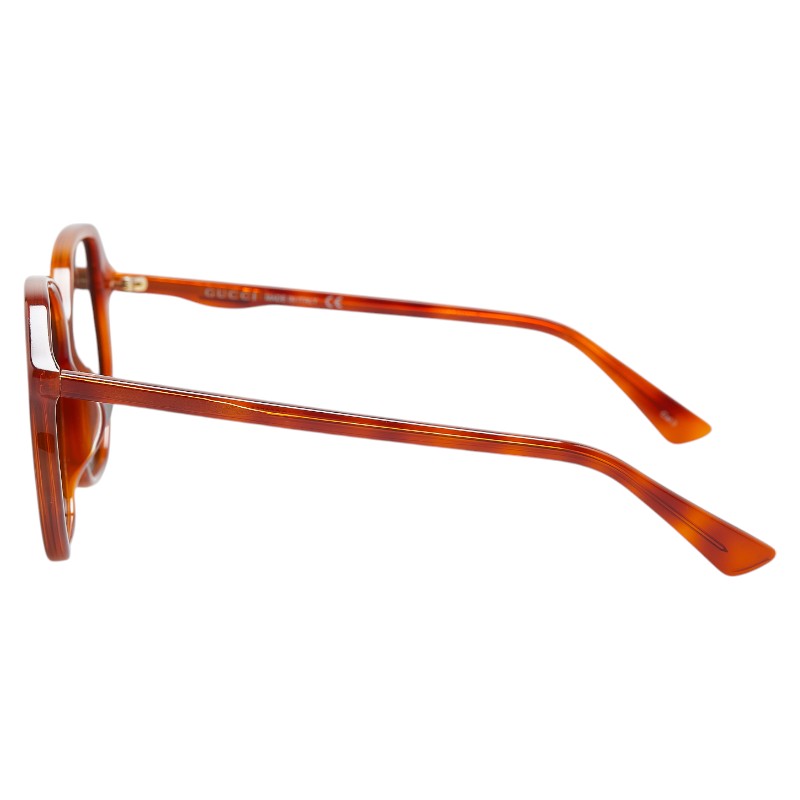 Gucci GG0258SA Sunglasses