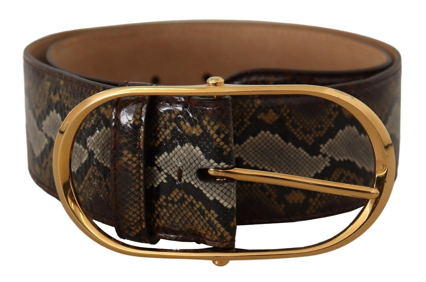 Dolce & Gabbana Brown Python Leather Gold Oval Buckle Women's Belt