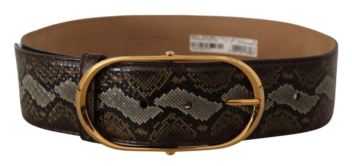 Dolce & Gabbana Brown Python Leather Gold Oval Buckle Women's Belt