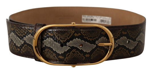 Dolce & Gabbana Brown Python Leather Gold Oval Buckle Women's Belt