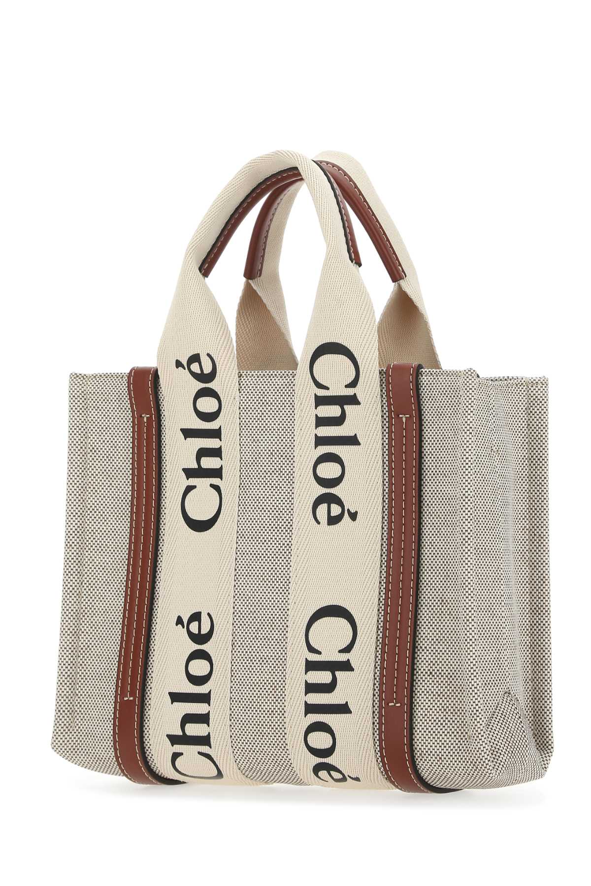 Chloe Women Multicolor Fabric Small Woody Shopping Bag