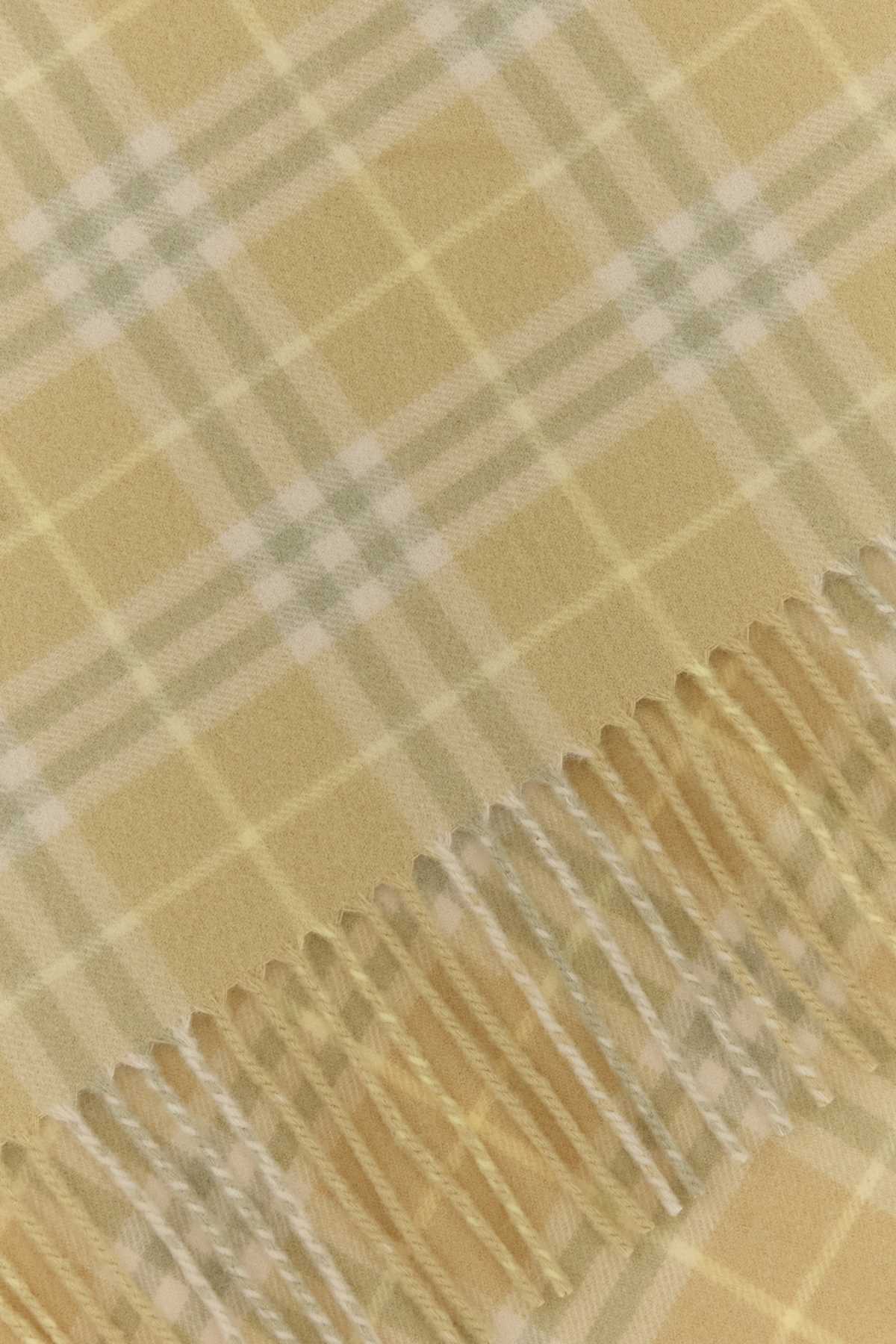 Burberry Unisex Embroidered Cashmere Scarf