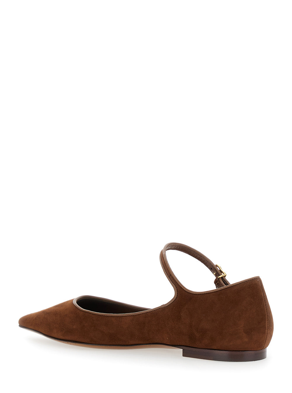 Dolce & Gabbana Women Brown Pointed Toe Ballerinas With Dg Logo On The Side In Suede Woman