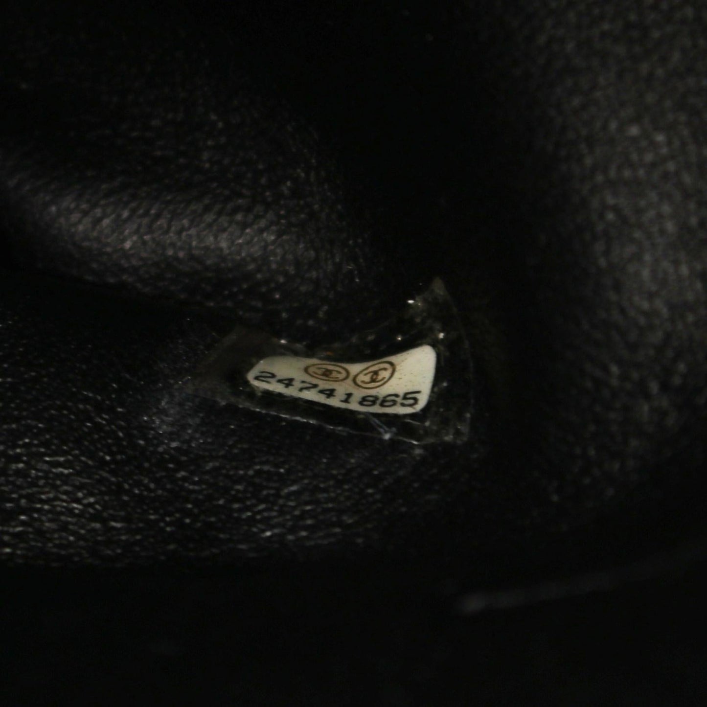 Chanel Caviar Exotic Leather Coco Handle Bag