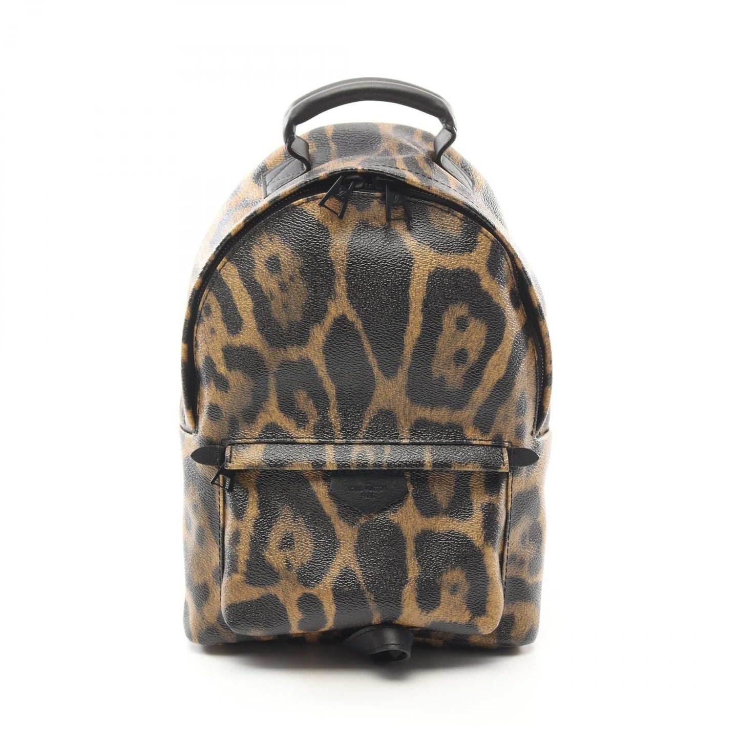 Louis Vuitton Palm Springs PM Monogram Backpack