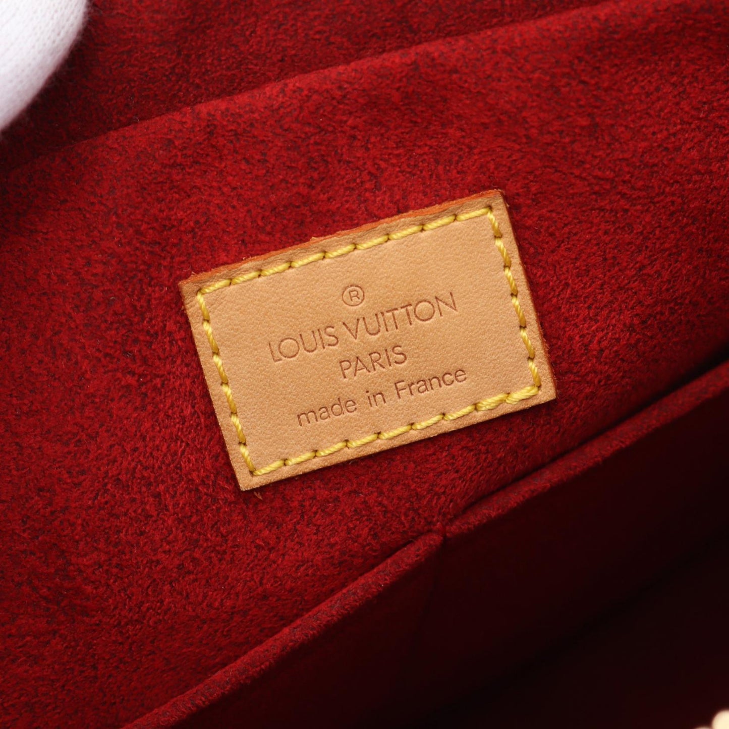 Louis Vuitton Multiplicite Monogram Handbag