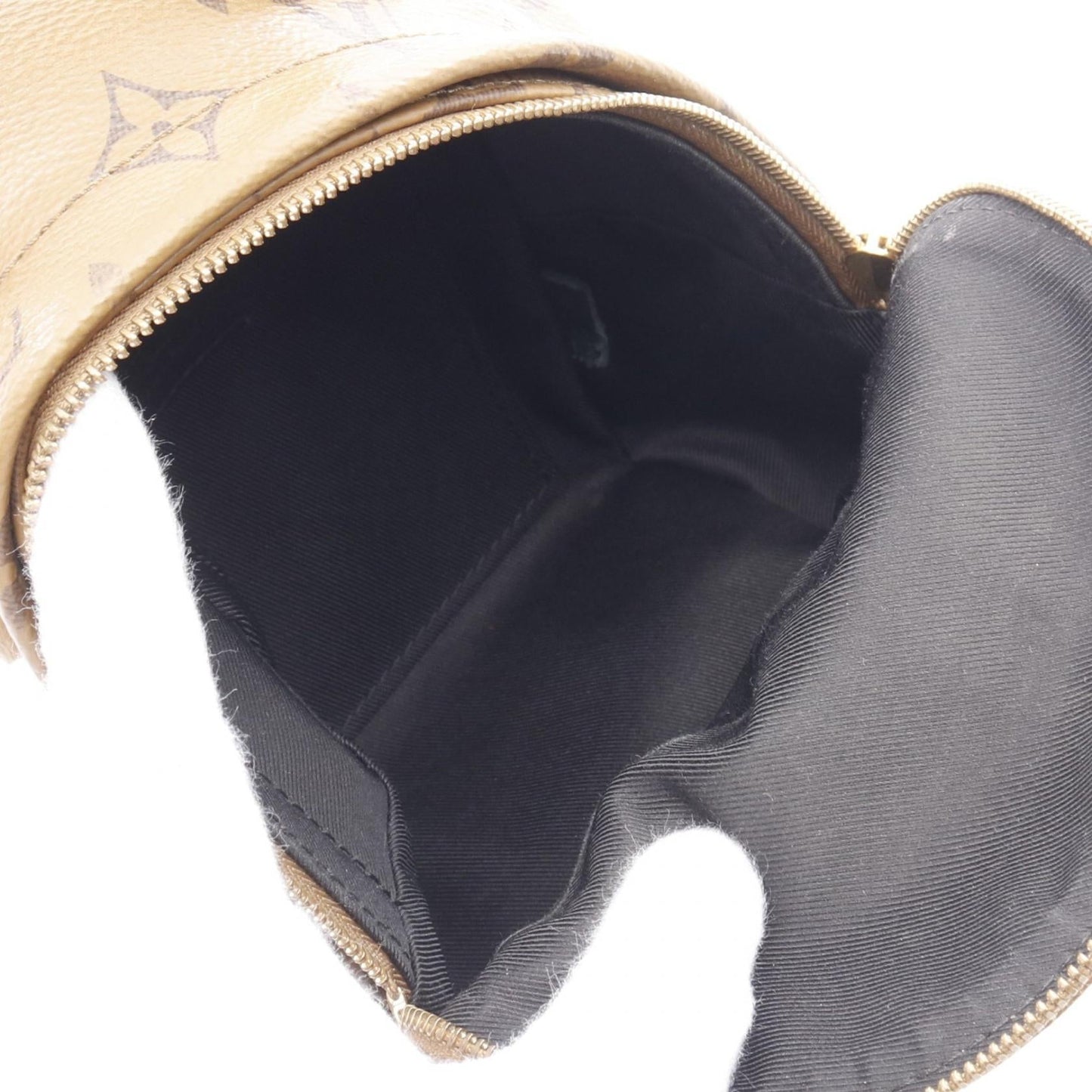 Louis Vuitton Palm Springs Monogram Mini Backpack