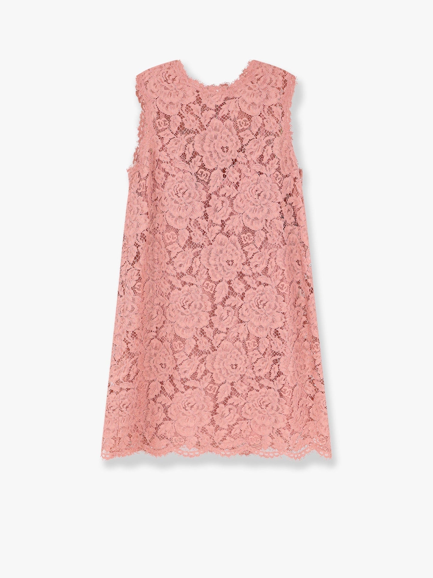 Dolce & Gabbana Women A Line Dg Floral Lace Dress