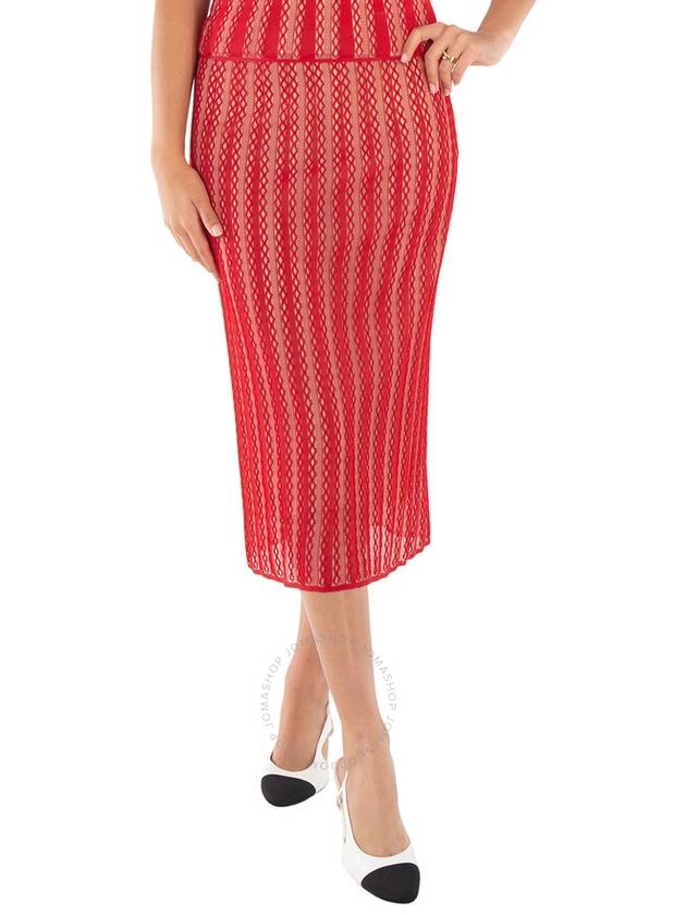 Fendi Fendi Ladies Long Lace Skirt, Brand 40 (US Size 4)