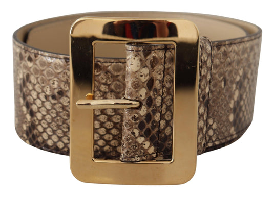 Dolce & Gabbana Brown Exotic Wide Waist Leather Gold Metal Buckle Women's Belt