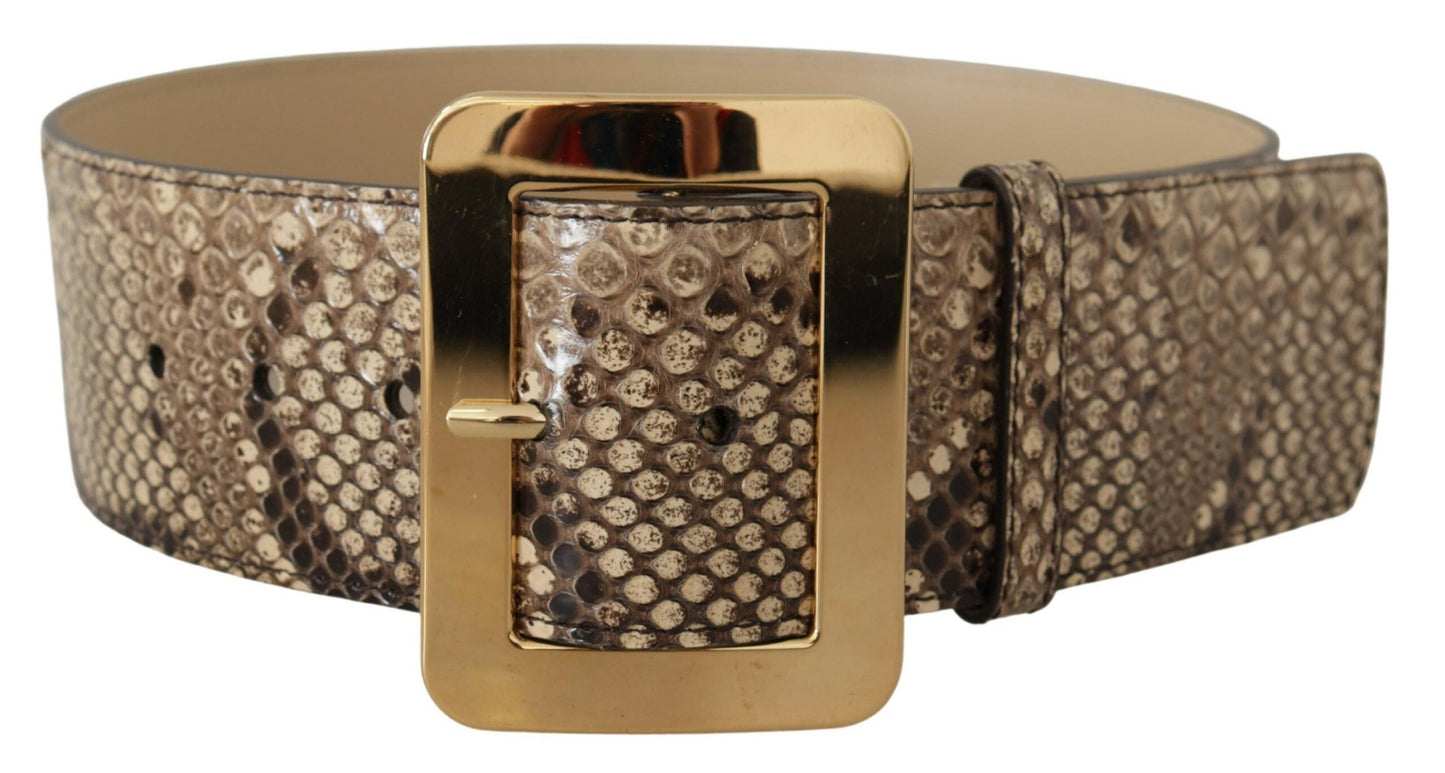 Dolce & Gabbana Brown Exotic Wide Waist Leather Gold Metal Buckle Women's Belt