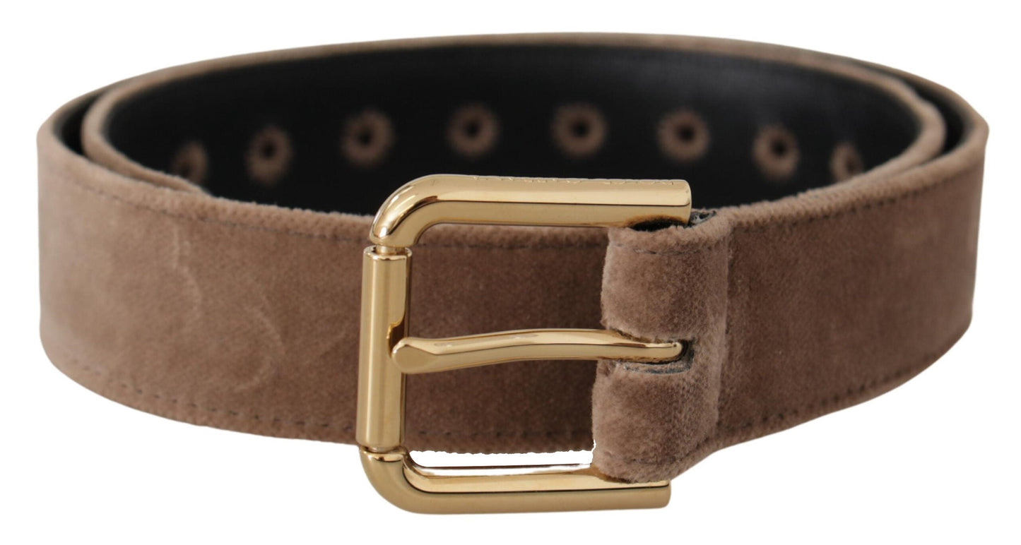 Dolce & Gabbana Light Brown Velvet Gold Tone Logo Metal Buckle Women's Belt