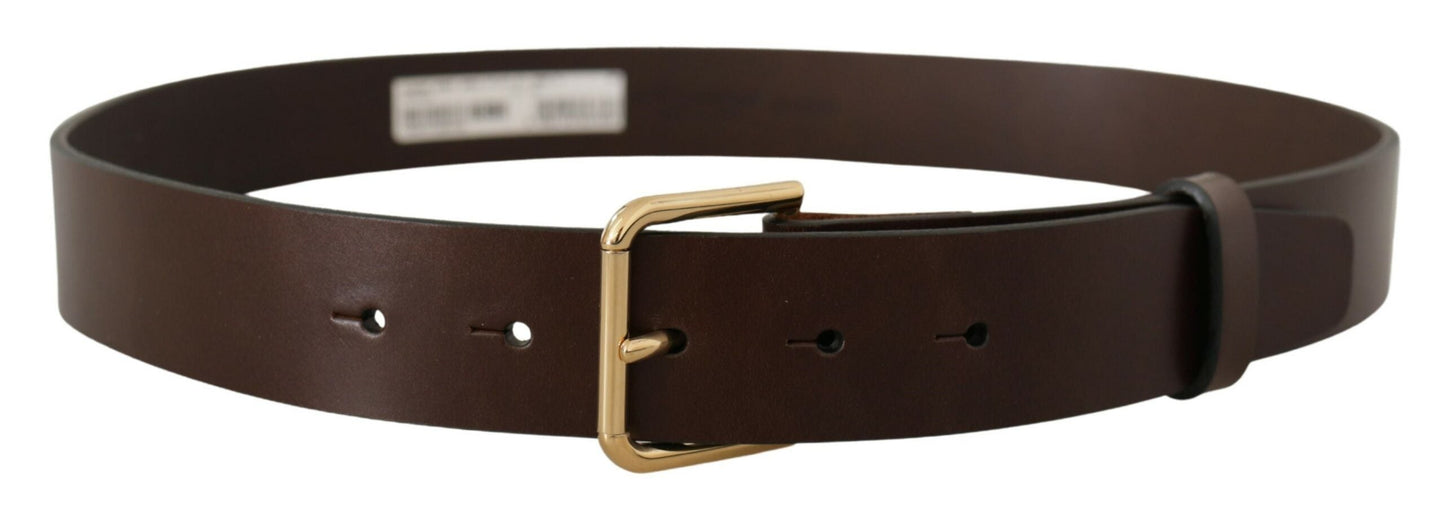 Dolce & Gabbana Brown Plain Calf Leather Gold Tone Buckle Men's Belt